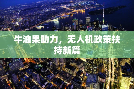 牛油果助力，无人机政策扶持新篇