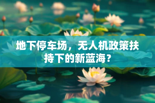 地下停车场，无人机政策扶持下的新蓝海？