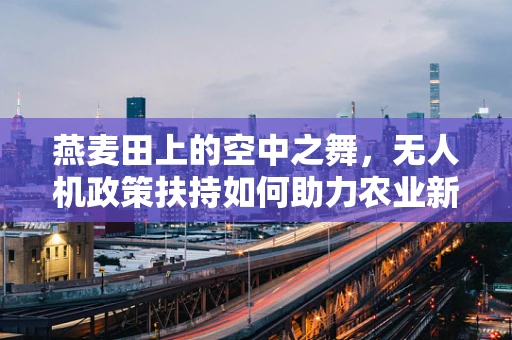 燕麦田上的空中之舞，无人机政策扶持如何助力农业新篇章？
