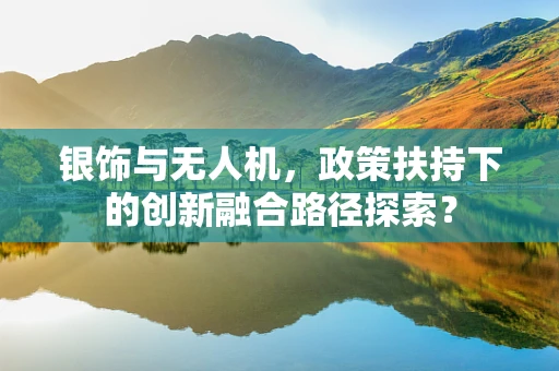 银饰与无人机，政策扶持下的创新融合路径探索？