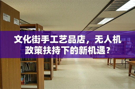 文化街手工艺品店，无人机政策扶持下的新机遇？