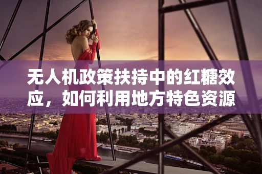 无人机政策扶持中的红糖效应，如何利用地方特色资源促进地方经济发展？
