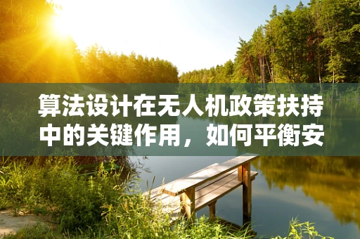 算法设计在无人机政策扶持中的关键作用，如何平衡安全与效率？