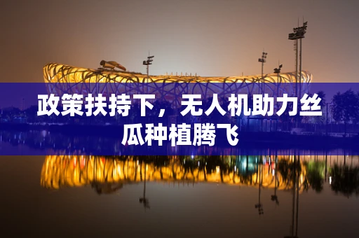 政策扶持下，无人机助力丝瓜种植腾飞