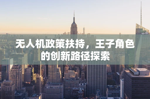无人机政策扶持，王子角色的创新路径探索
