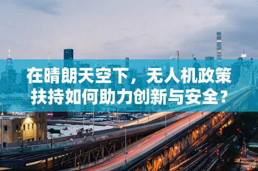 在晴朗天空下，无人机政策扶持如何助力创新与安全？