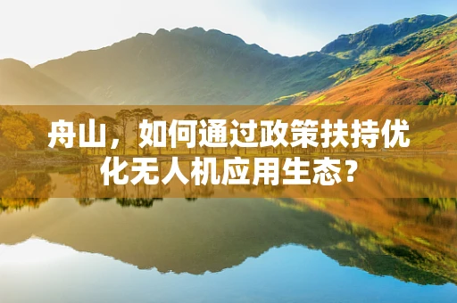 舟山，如何通过政策扶持优化无人机应用生态？