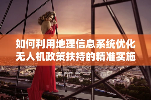 如何利用地理信息系统优化无人机政策扶持的精准实施？