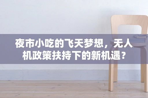 夜市小吃的飞天梦想，无人机政策扶持下的新机遇？
