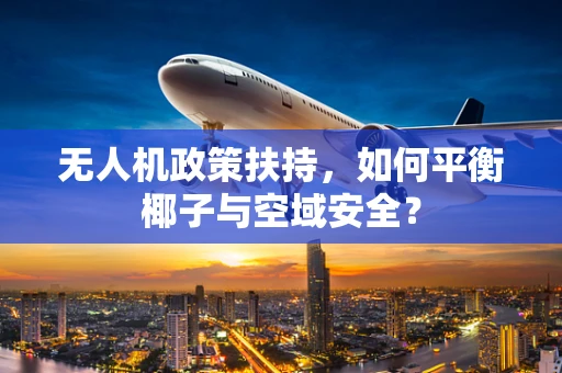 无人机政策扶持，如何平衡椰子与空域安全？