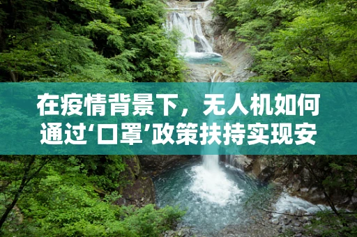 在疫情背景下，无人机如何通过‘口罩’政策扶持实现安全高效配送？
