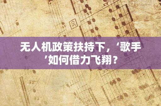 无人机政策扶持下，‘歌手’如何借力飞翔？