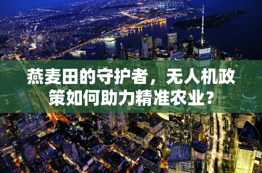 燕麦田的守护者，无人机政策如何助力精准农业？