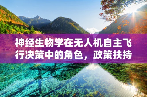 神经生物学在无人机自主飞行决策中的角色，政策扶持的未来方向？