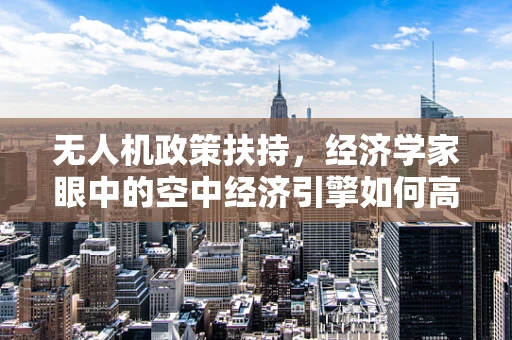 无人机政策扶持，经济学家眼中的空中经济引擎如何高效驱动？