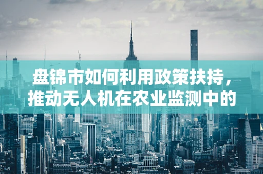 盘锦市如何利用政策扶持，推动无人机在农业监测中的创新应用？