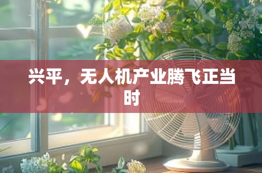 兴平，无人机产业腾飞正当时