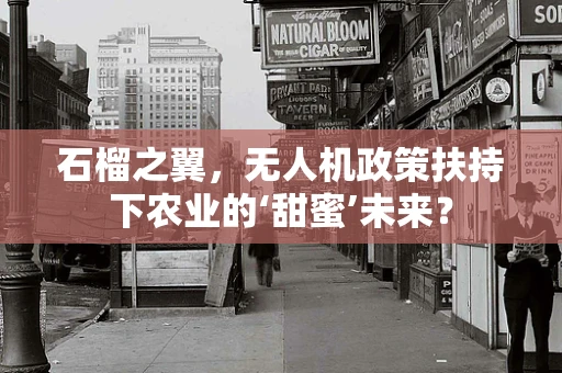 石榴之翼，无人机政策扶持下农业的‘甜蜜’未来？