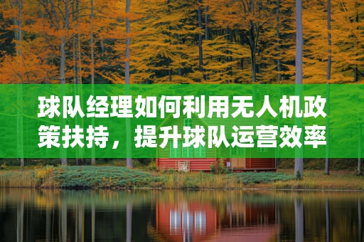 球队经理如何利用无人机政策扶持，提升球队运营效率？