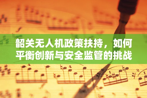 韶关无人机政策扶持，如何平衡创新与安全监管的挑战？