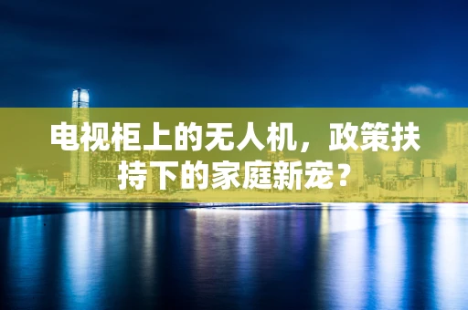 电视柜上的无人机，政策扶持下的家庭新宠？