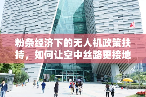 粉条经济下的无人机政策扶持，如何让空中丝路更接地气？