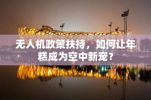 无人机政策扶持，如何让年糕成为空中新宠？