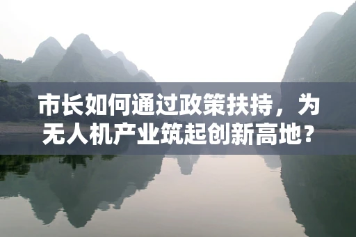 市长如何通过政策扶持，为无人机产业筑起创新高地？