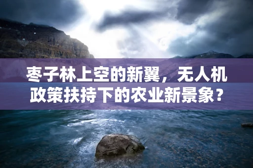 枣子林上空的新翼，无人机政策扶持下的农业新景象？