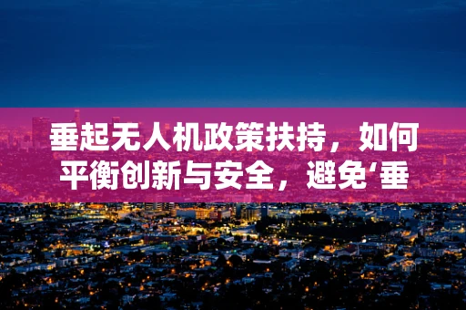 垂起无人机政策扶持，如何平衡创新与安全，避免‘垂体瘤’现象？