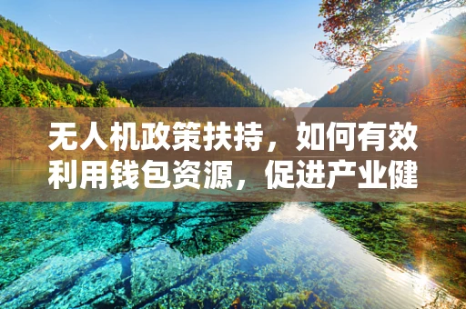 无人机政策扶持，如何有效利用钱包资源，促进产业健康发展？