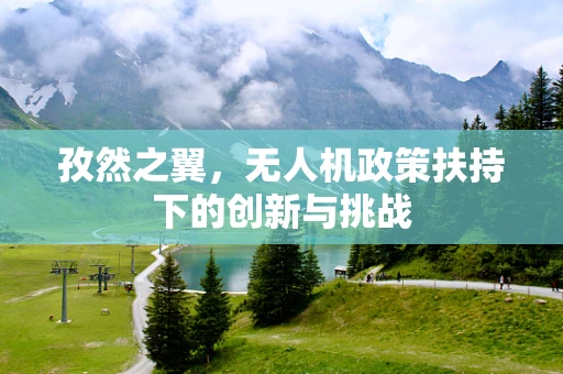 孜然之翼，无人机政策扶持下的创新与挑战