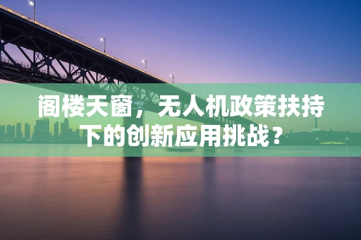 阁楼天窗，无人机政策扶持下的创新应用挑战？