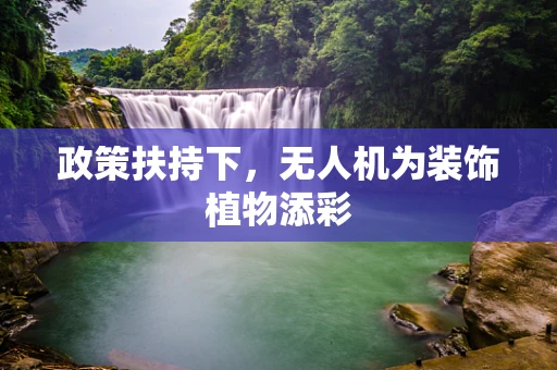 政策扶持下，无人机为装饰植物添彩