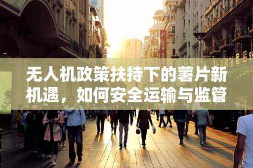 无人机政策扶持下的薯片新机遇，如何安全运输与监管？