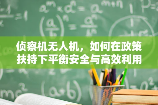 侦察机无人机，如何在政策扶持下平衡安全与高效利用？
