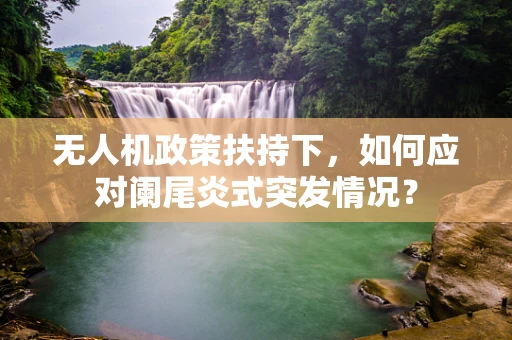 无人机政策扶持下，如何应对阑尾炎式突发情况？