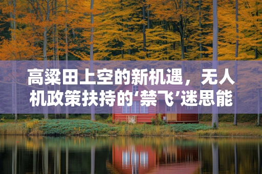 高粱田上空的新机遇，无人机政策扶持的‘禁飞’迷思能否破除？