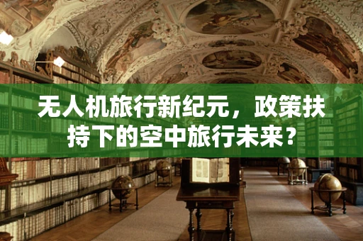 无人机旅行新纪元，政策扶持下的空中旅行未来？