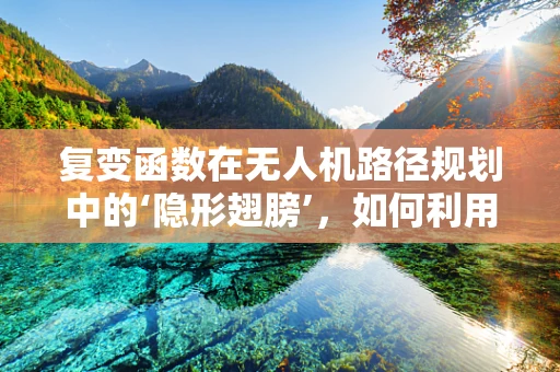 复变函数在无人机路径规划中的‘隐形翅膀’，如何利用其特性提升政策扶持下的飞行效率？