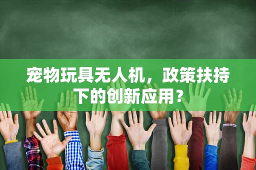 宠物玩具无人机，政策扶持下的创新应用？
