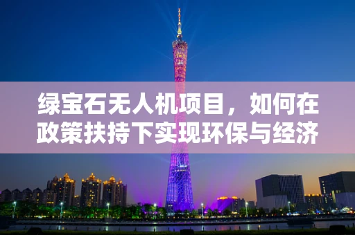 绿宝石无人机项目，如何在政策扶持下实现环保与经济效益的双重飞跃？