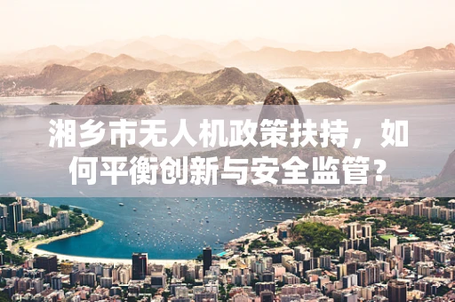 湘乡市无人机政策扶持，如何平衡创新与安全监管？