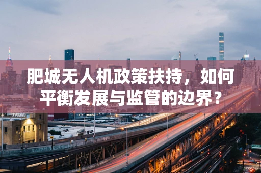 肥城无人机政策扶持，如何平衡发展与监管的边界？