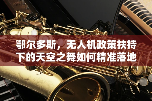鄂尔多斯，无人机政策扶持下的天空之舞如何精准落地？