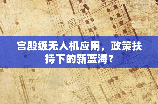 宫殿级无人机应用，政策扶持下的新蓝海？