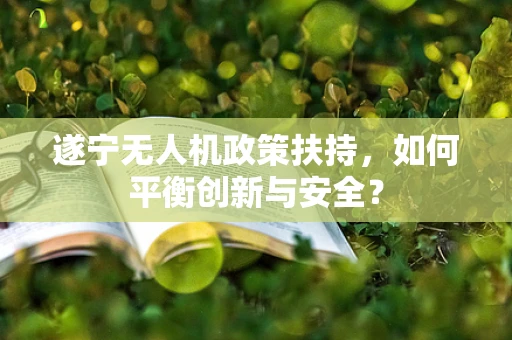 遂宁无人机政策扶持，如何平衡创新与安全？
