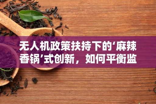 无人机政策扶持下的‘麻辣香锅’式创新，如何平衡监管与创意？