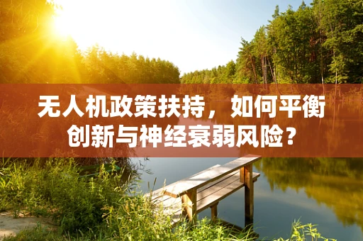 无人机政策扶持，如何平衡创新与神经衰弱风险？