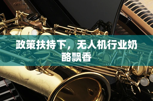 政策扶持下，无人机行业奶酪飘香